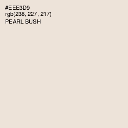 #EEE3D9 - Pearl Bush Color Image